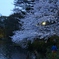 IMG_0295 (1920x1280)