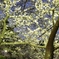 IMG_0344 (1920x1280)