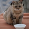 D89A6079-2C80-48BE-8C18-0927DF4656CF
