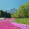 Hitsujiyama Park Chichibu Saitama
