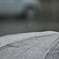 Rainy Day