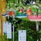 涼感を求めて