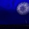「白菊」～長岡まつり大花火大会①