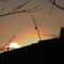 20110309 日輪３