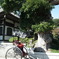 長谷寺