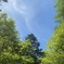 夏、山