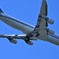 レトロカラーB747-830