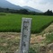 0D785BE7-146E-4653-AEA0-2465FB74570C