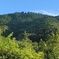 夏の六所山
