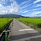 山梨　田舎道