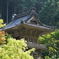 夏の神社