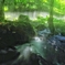 清流光芒