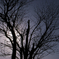 R0010426