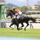 リバーシブルレーン 2022/8/13 小倉4R 勝ち馬 その2