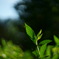 5F53144E-4B2F-4C64-9B9E-3B4ACAF4D658