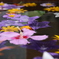 花手水