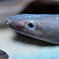 T03_7957