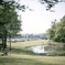 photo_1126536