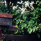 Mailbox