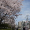 4月のある日