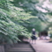 aomomiji✧