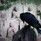 大円寺石仏群 (4)