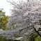 2011-04-10_0060_01
