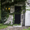 Ivy creeping house♪