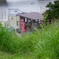夏草の中のボート小屋