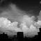 DSCF2337