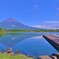 富士山を愛でるカモさん一家