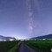 波佐見の田んぼ道