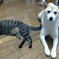 一休み