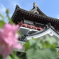 清洲城⑥