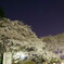 ちょっと引いて