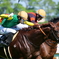 中京競馬場にて