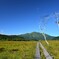木道は続く