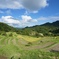 大山千枚田　東京から最も近い棚田