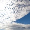 うろこ雲