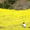 どんな構図お狙いですか？