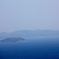 相模湾の鯨