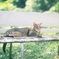 film・Another Sunny Day*