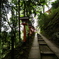 鞍馬山_道中_1