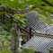 総本山長谷寺