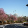 DSCF0273