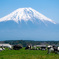 富士山麓の牧場