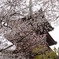 088上野東照宮五重塔