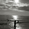 surfer　girl