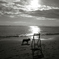 chair　＆　dog