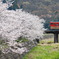 SaKuRaと電車